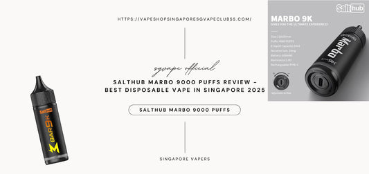 salthub-marbo-9000-puffs-best-disposable-vape-in-singapore-2025