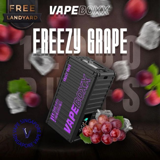 Vapeboxx 12000 Puff - Vape Singapore SG Vape