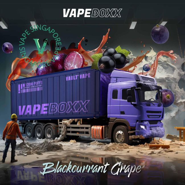 Vapeboxx 12000 Puff - Vape Singapore SG Vape
